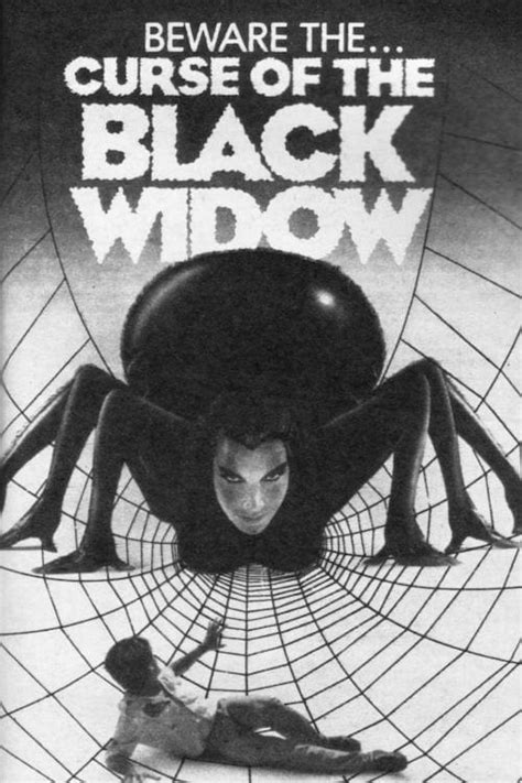 Curse og the blak widow